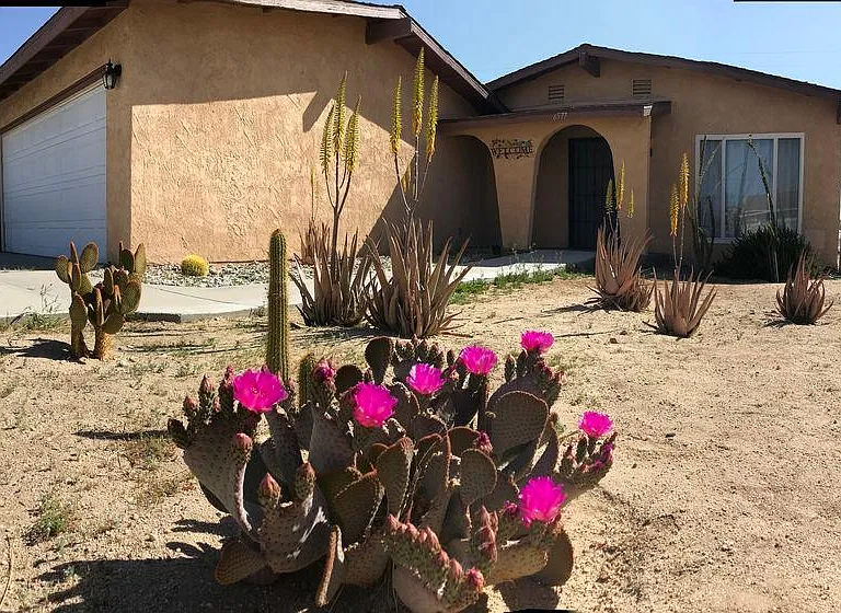 6577 Desert Queen Ave — Photo 38