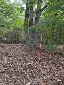 LOT 2 Ruff Hollar Dr Lot 2, East Bend, NC, 27018