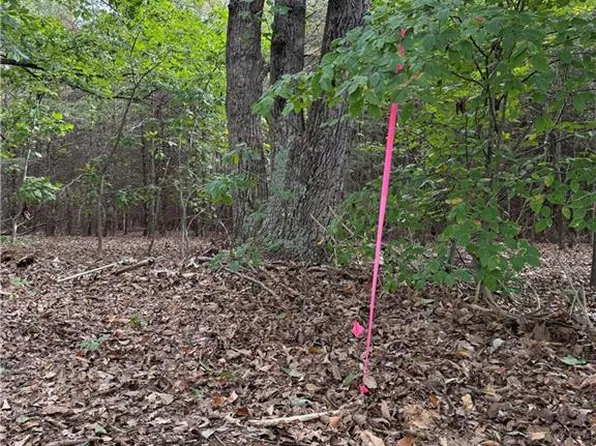 LOT 2 Ruff Hollar Dr Lot 2, East Bend, NC 27018