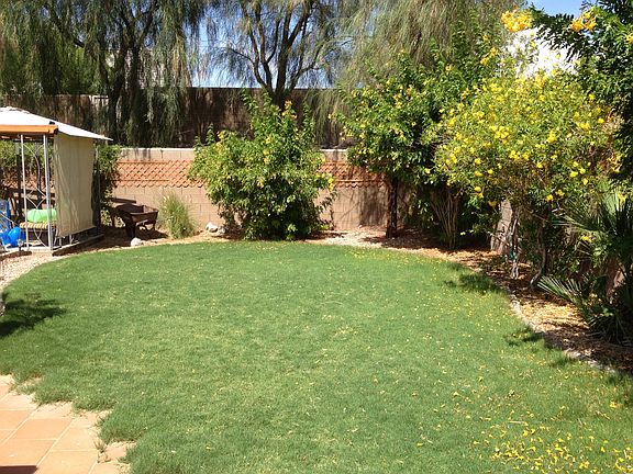 Grass area