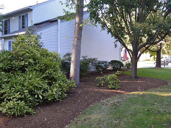 Side View and Landscape