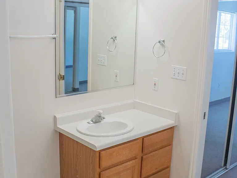 Master bathroom west sink/cabinet