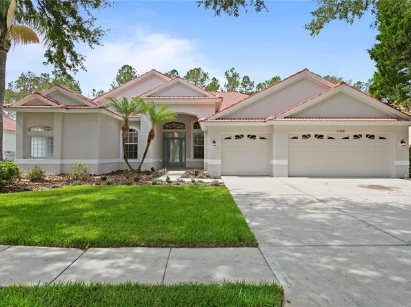 17858 Arbor Greene Dr, Tampa, FL 33647