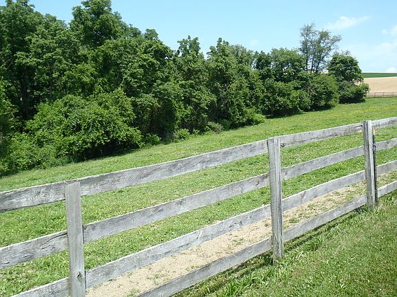 5th image of 1915 Park Ln