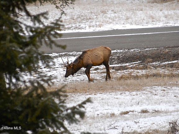 3rd image of L1-B2 S Wailea Rd