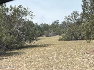 1510 Off Of Lion Canyon Dr, Seligman, AZ 86337