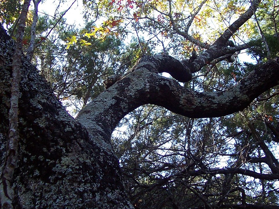 2nd image of 18634 Lookout Mountain Trl