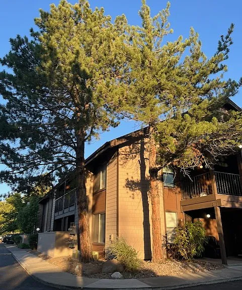 Upper Corner unit with view of trees