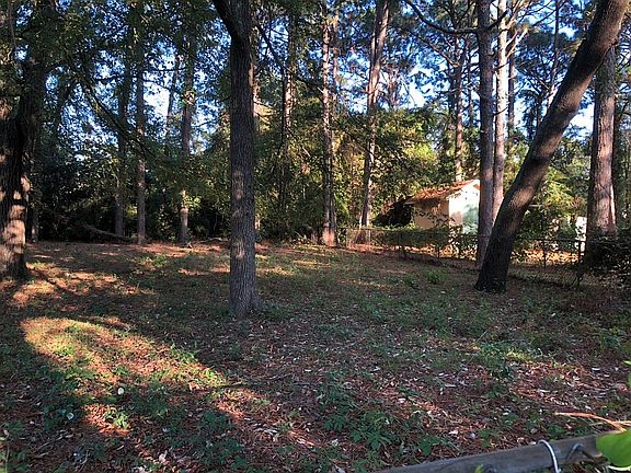 large shady backyard