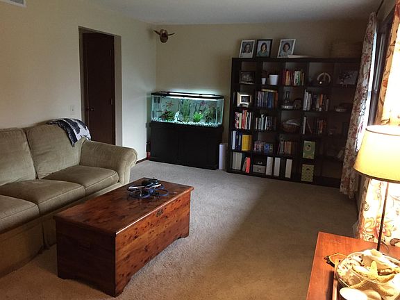 Professionally cleaned carpets after each tenant