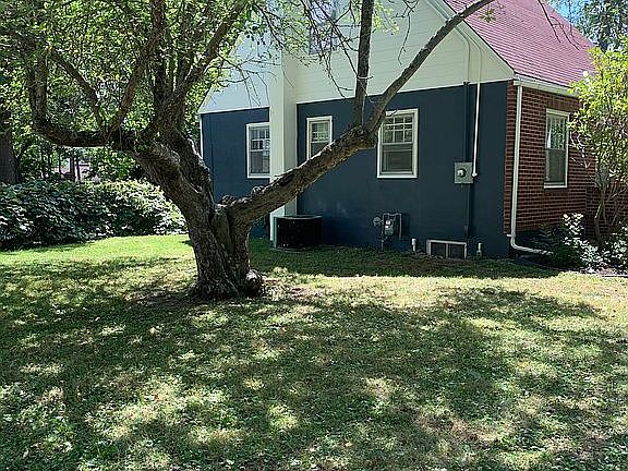 Apple tree & Grape Vines!