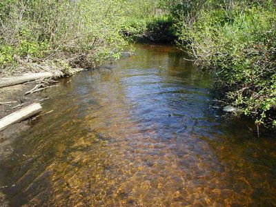 Kisser Rd, Tower, MI, 49792
