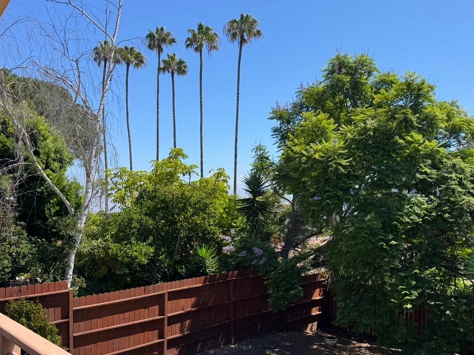 2nd image of 972 Via Del Monte
