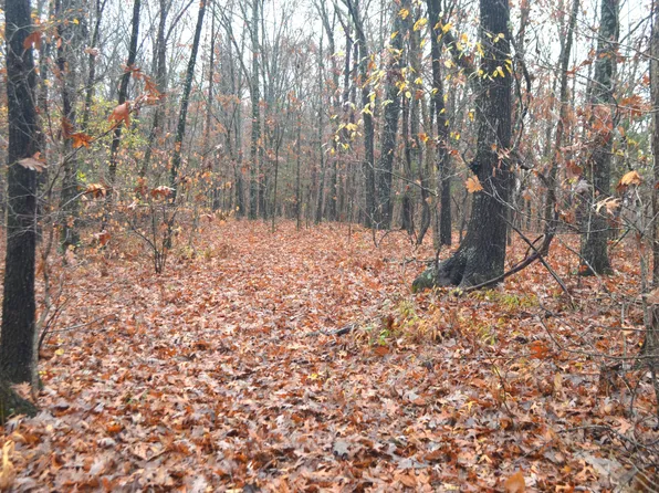 000 Logan Ridge Road, Ozark, MO 65721