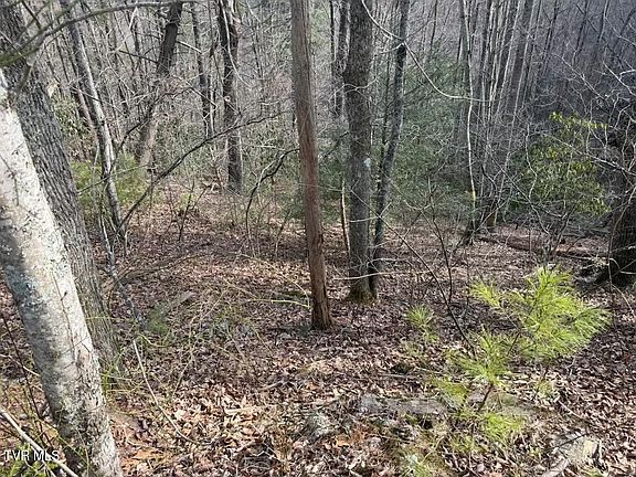 4th image of Banjo Ridge Rd #39