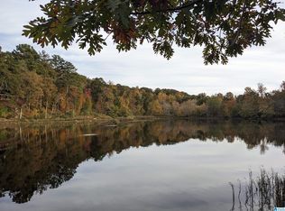2460 Lakeshore Dr, Oneonta, AL 35121