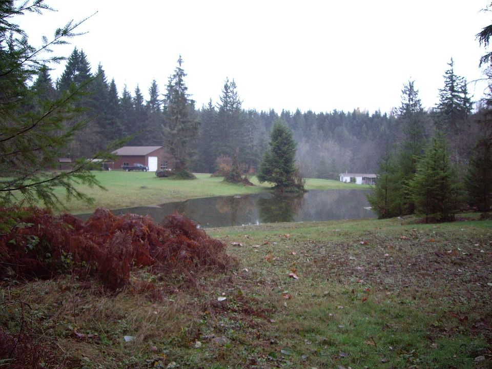 Looking across Pond