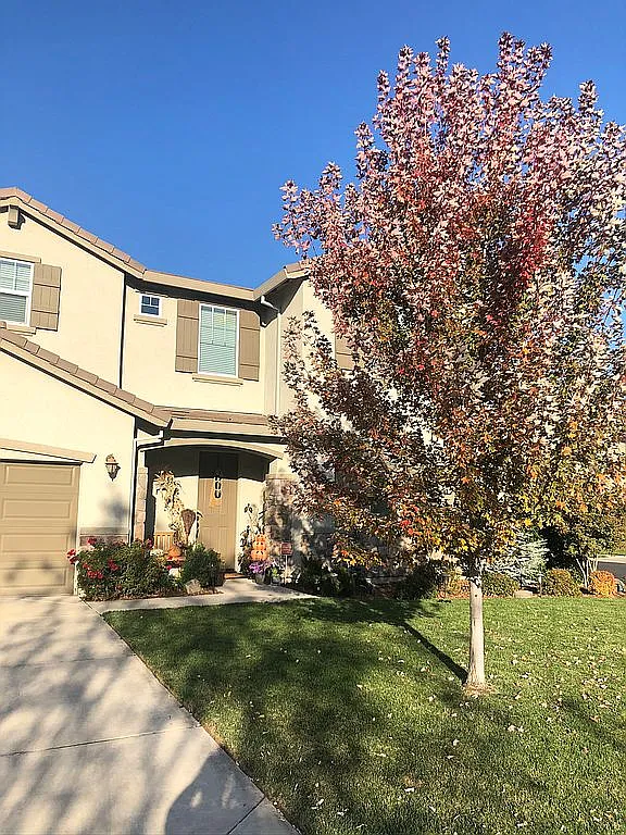 319 Felton Ct photo 1