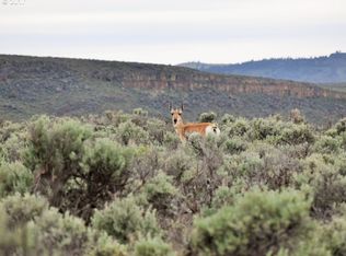 36662 S Diamond Ln, Diamond, OR 97722