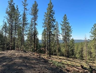 Nka Weaver Way Lot 4, Deer Park, WA, 99006