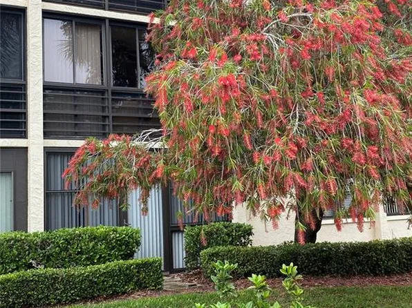 11945 143rd St APT 7120, Largo, FL 33774