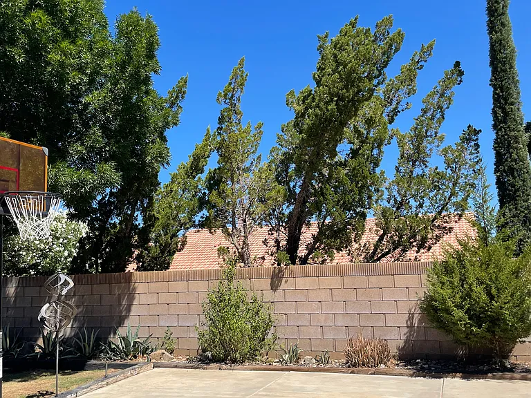 2611 Gemstone Ave — Photo 15