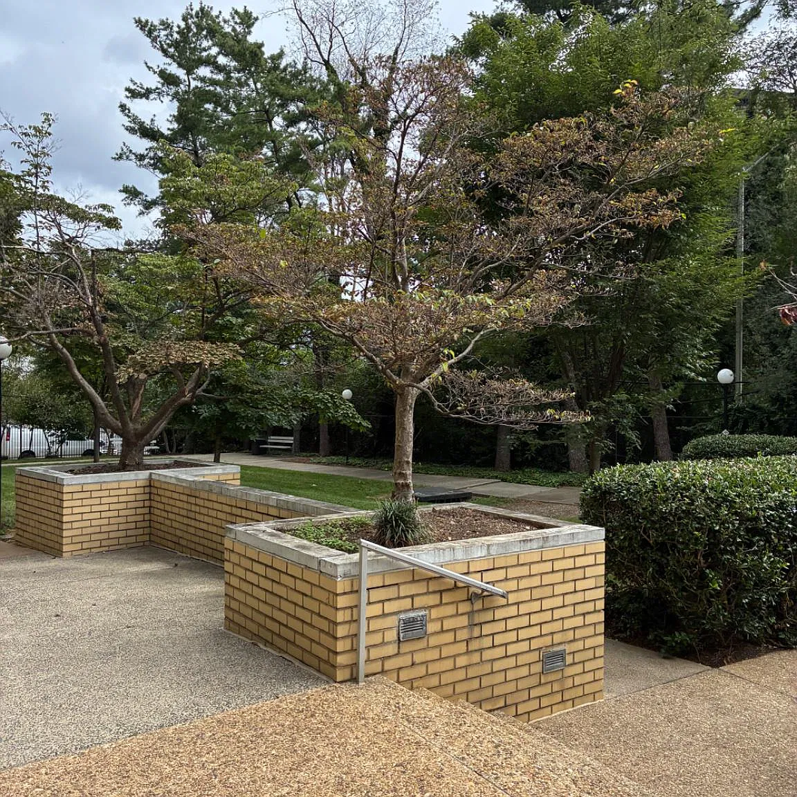 1 bed, 1.5 bath, 943 sqft, $1,900 — Photo 3