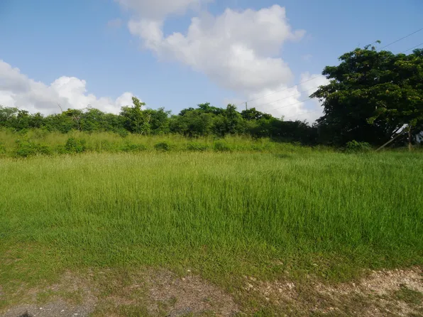 Rem 10 La Reine KI, St. Croix, VI 00820