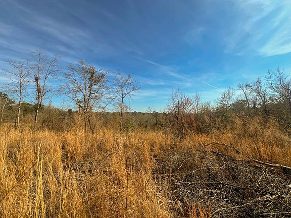 5th image of Tbd Longtown Rd