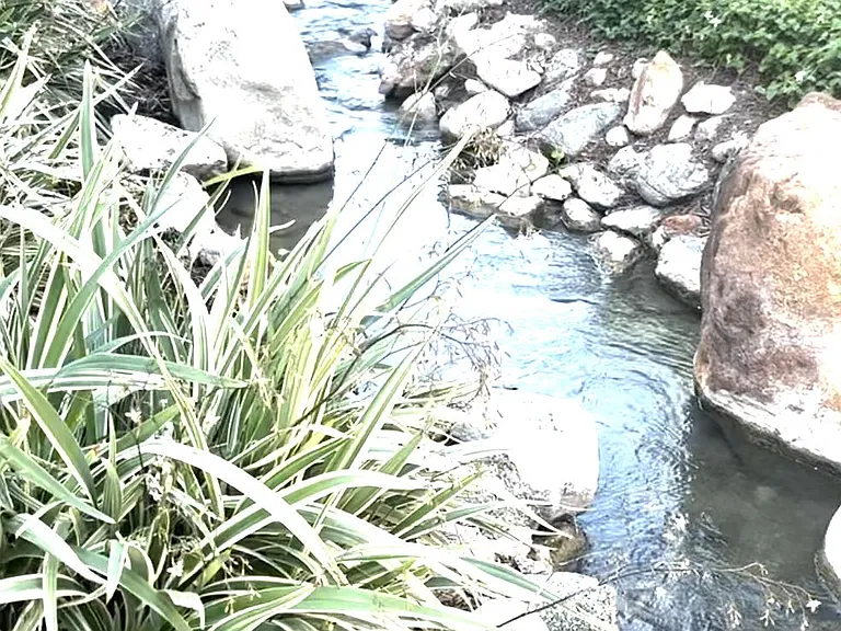 Streams!
