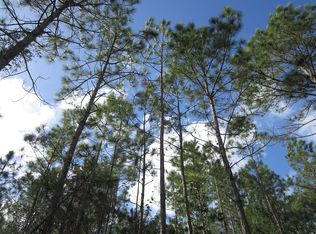 4940 Bamboo St, Middleburg, FL 32068