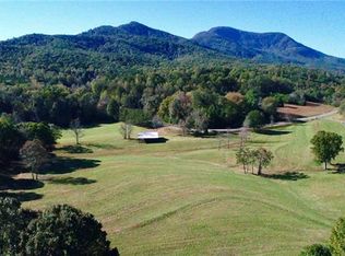 384 Martin Walker Rd, Mill Spring, NC 28756