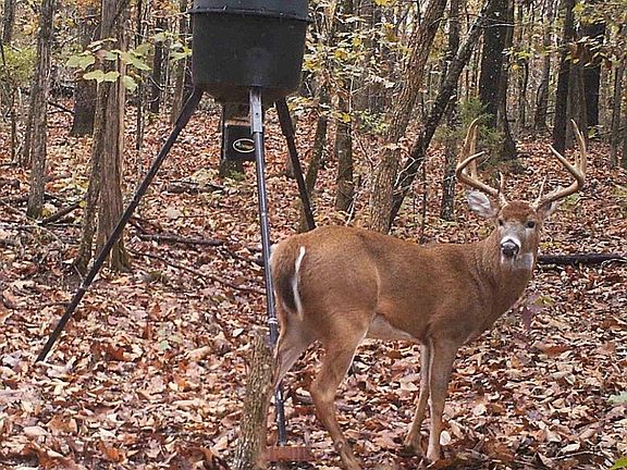 2nd image of 3536 Bellview Rd