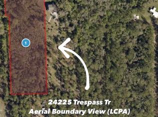 24225 Trespass Trl, Astor, FL 32102