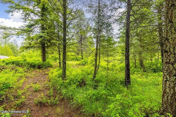 1st image of 32764 N 10th Ave Lot 2