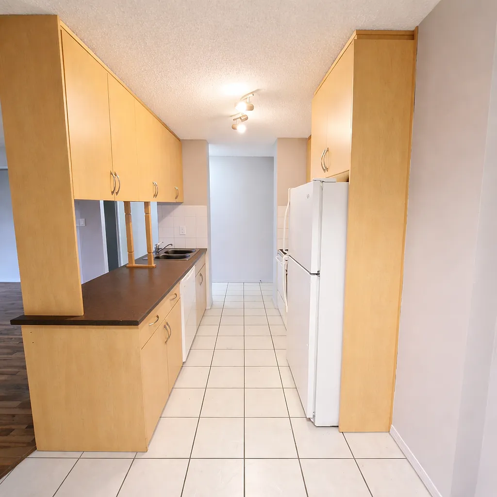 Rideau Tower — Photo 4