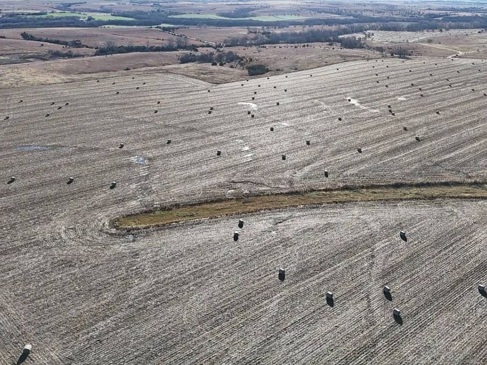 2nd image of 1 Jade Rd