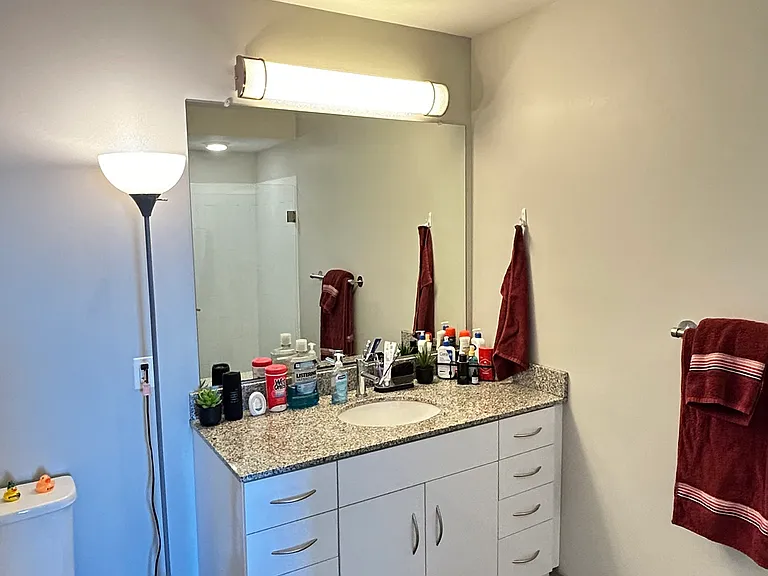 Private ensuite bathroom