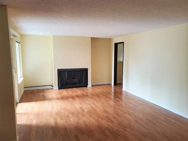 1 bed, 909 sqft, $2,650 — Photo 2