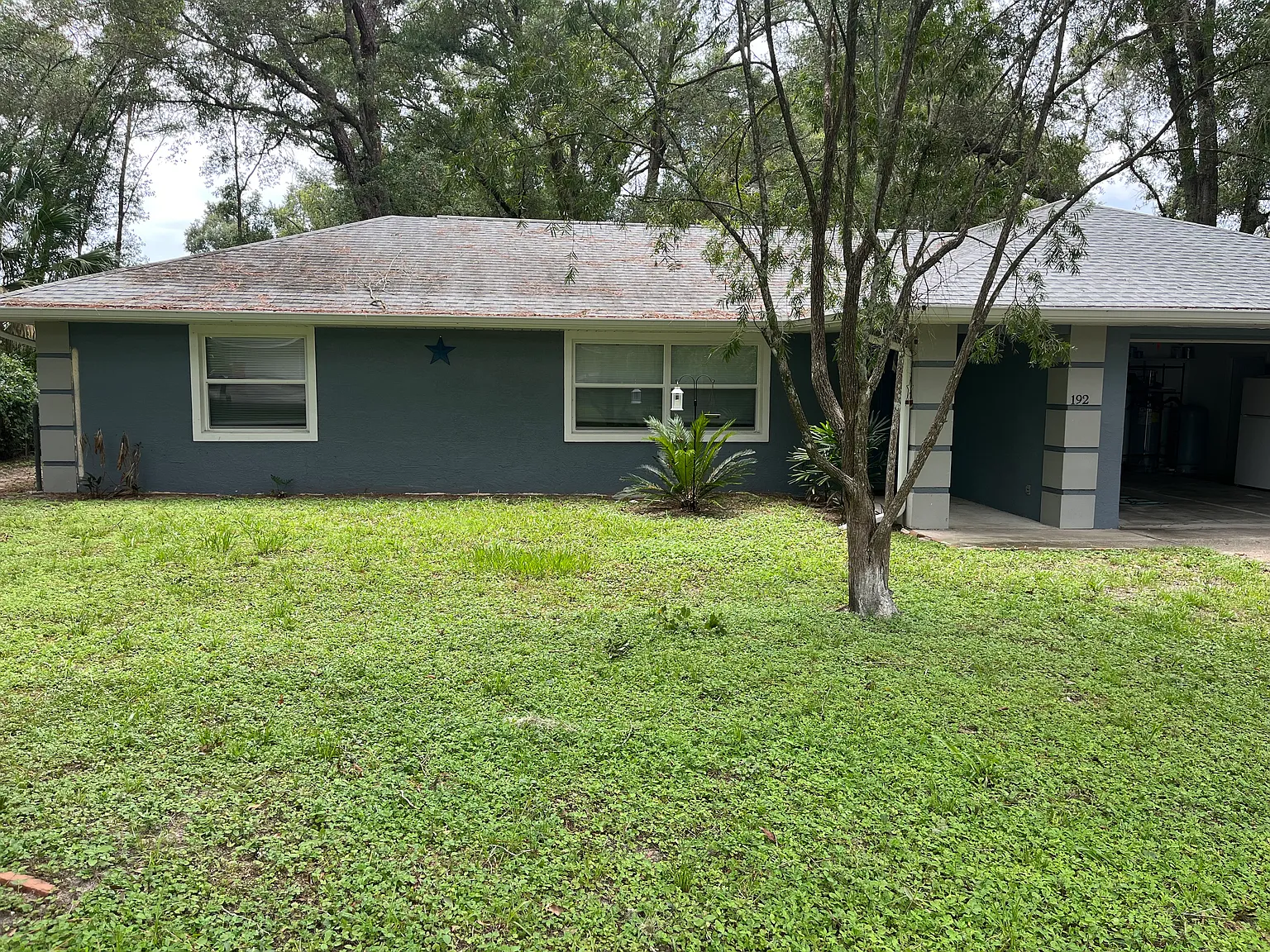 3 bed, 1356 sqft, $2,250 — Photo 4