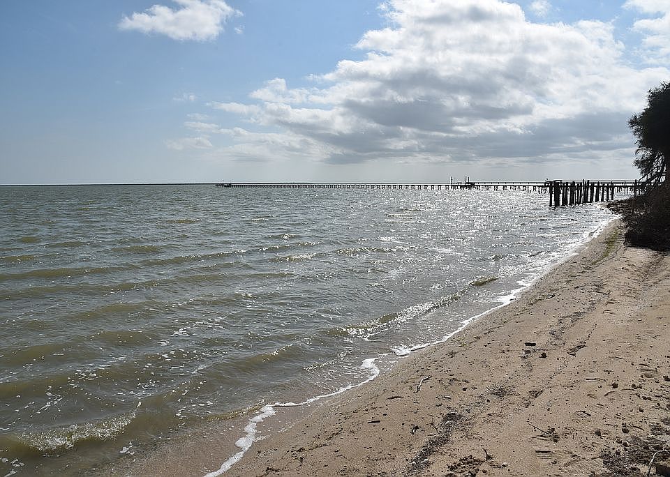 0 S Cr 1144, Loyola Beach, TX 78379 Zillow