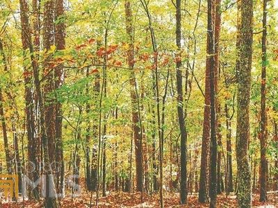 0 Red Oak Dr, Cleveland, GA, 30528