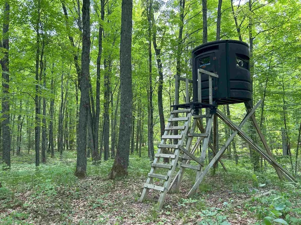 Forest Rd #519, Dunbar, WI 54119