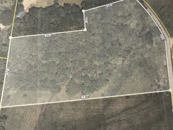 0 Hodge Rd, Mount Pleasant, TN 38474