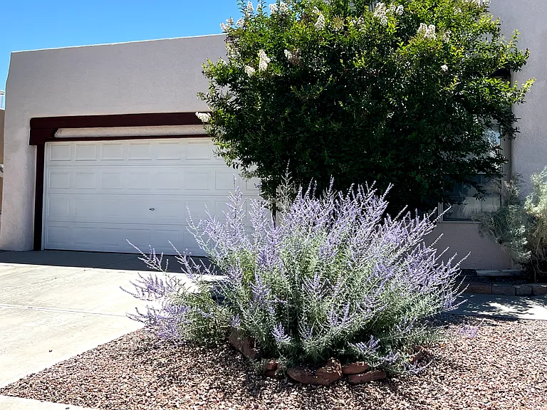 10209 Arroyo Bend Dr NW — Photo 1