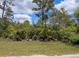 27721 Corrine Ave, Paisley, FL 32767