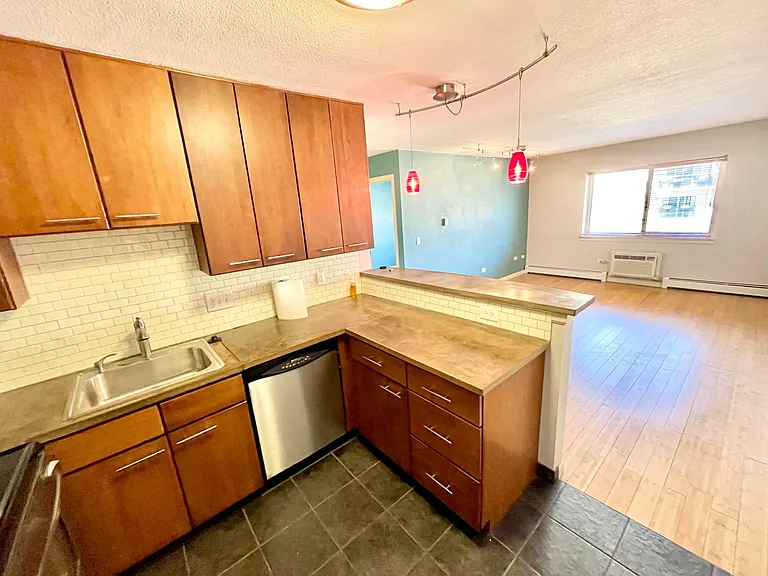 1231 N Downing St #203 — Photo 5