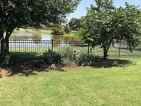 View of pond from backyard 
