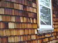1st image of 1228 Orchard Dr