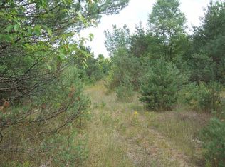0 Vander Meulen Rd, Lake City, MI 49651